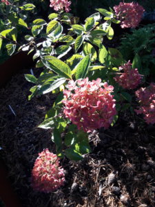20181008_103711.jpg