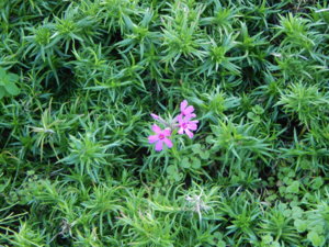 DSCN8690.JPG