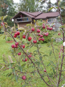DSCN8200.JPG