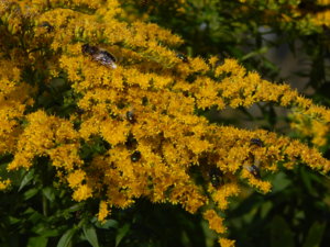 DSCN8296.JPG