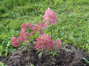 DSCN8302.JPG
