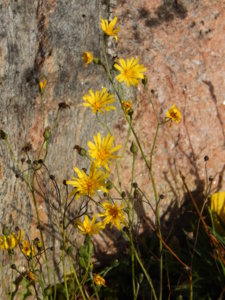 DSCN8320.JPG