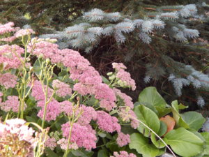 DSCN8330.JPG