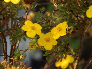 DSCN8458.JPG