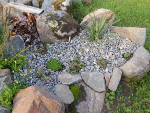 DSCN8442.JPG