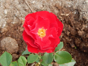 DSCN6566.JPG