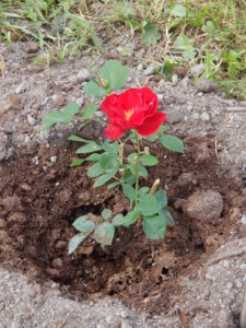 DSCN6573.JPG