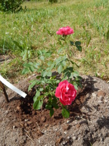 DSCN6569.JPG