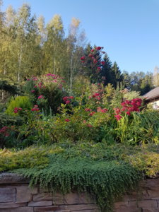 20181006_105926.jpg