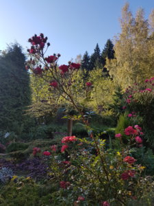 20181006_110036.jpg