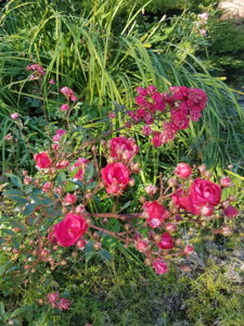 20181006_110203.jpg