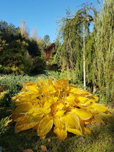 20181006_111358.jpg