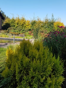 20181006_111219.jpg