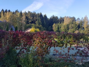 20180930_092459.jpg