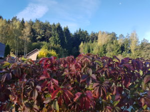 20180930_092629.jpg