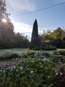20180930_093432.jpg