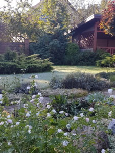 20180930_093454.jpg