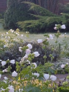 20180930_093526.jpg