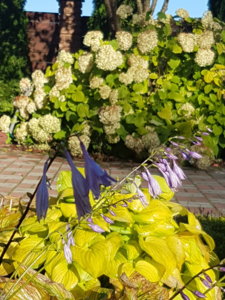 20180930_093735.jpg