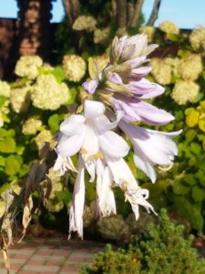 20180930_093819.jpg