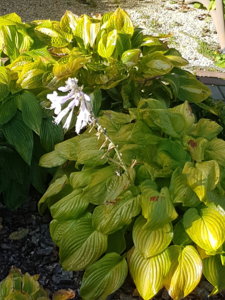 20180930_093850.jpg