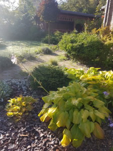 20180930_093924.jpg