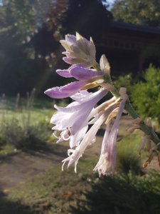 20180930_093938.jpg