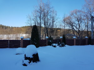 20180305_165221.jpg