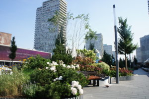 DSC01738.JPG