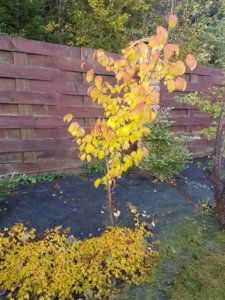 20181007_103848.jpg