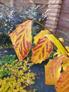 20181007_104001.jpg