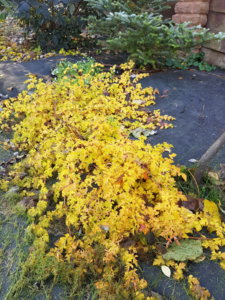 20181007_104017.jpg