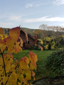 20181007_104444.jpg