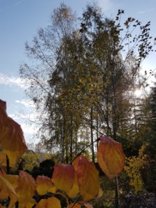 20181007_104507.jpg