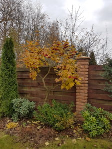 20181021_160054.jpg