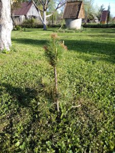 IMG_20180511_174116.jpg