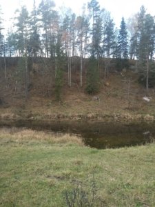 IMG_20181020_144525.jpg