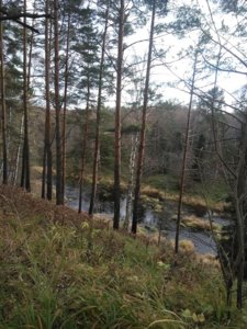 IMG_20181020_152404.jpg