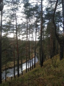 IMG_20181020_152520.jpg
