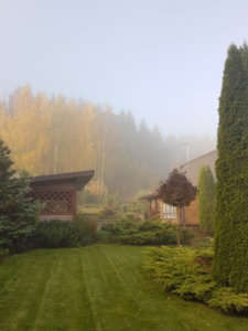 20181013_091128.jpg