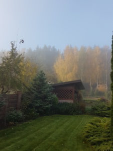 20181013_091146.jpg