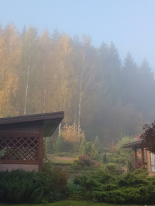 20181013_091200.jpg