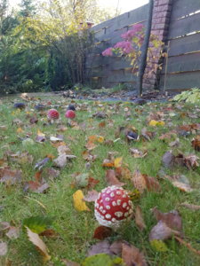 20181007_100303.jpg