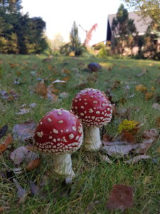 20181007_100416.jpg
