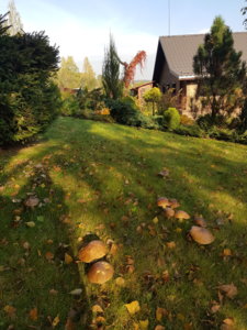 20181007_100826.jpg