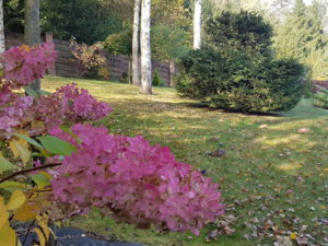 20181007_102254.jpg