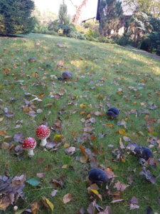 20181007_100347.jpg