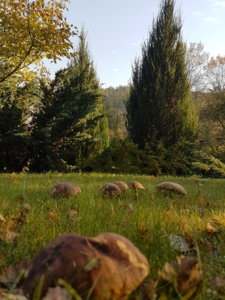 20181007_101023.jpg