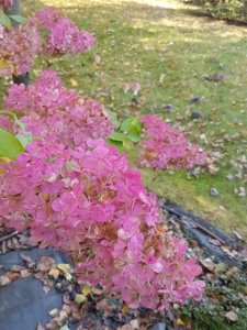 20181007_101941.jpg
