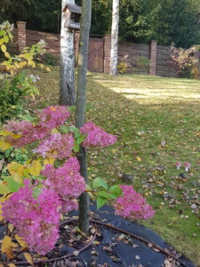 20181007_102111.jpg